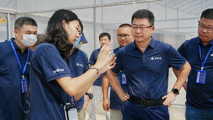 OEŷ��|�ٷ���վ